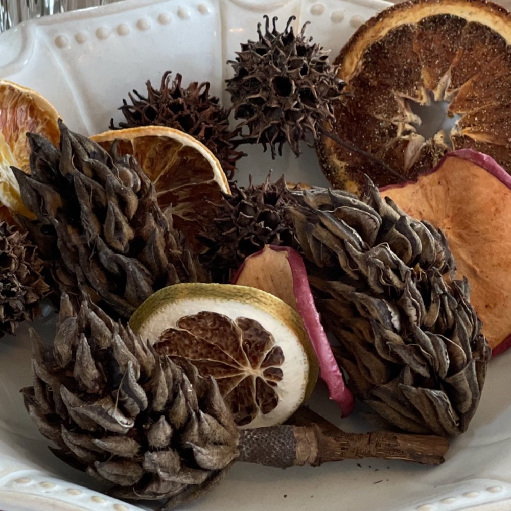 Decorative Magnolia Pod’s and Dried fruit
⸻
